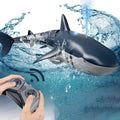 RC shark